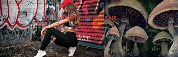 скорость Киреевск