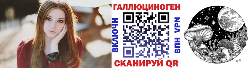 Купить где  Элиста  Галлюциногенные грибы Psilocybine cubensis 