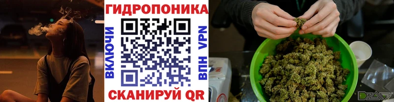 Купить где  Элиста  Марихуана Bruce Banner 